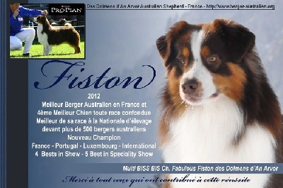 des dolmens d'An Arvor - Fiston Multi Champion